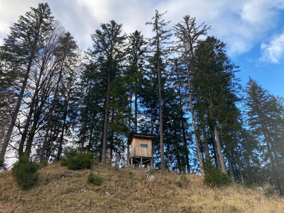 Chalet Wildalpen Eksteriør bilde