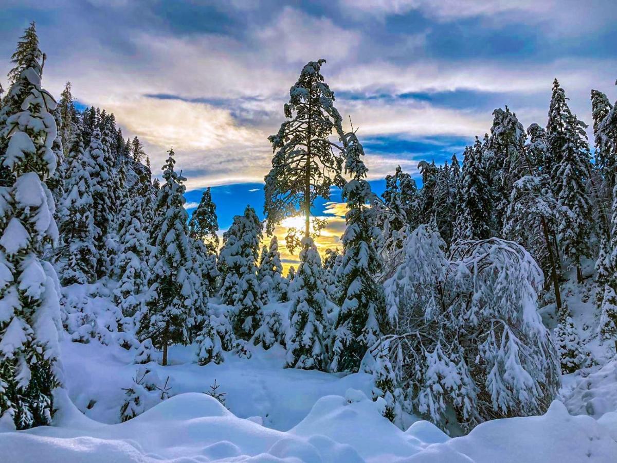 Chalet Wildalpen Eksteriør bilde