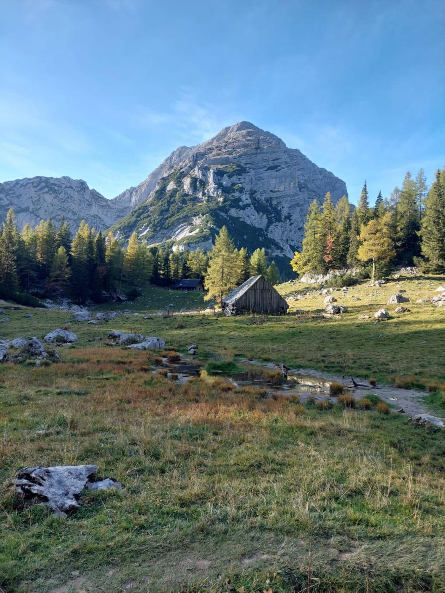 Chalet Wildalpen Eksteriør bilde