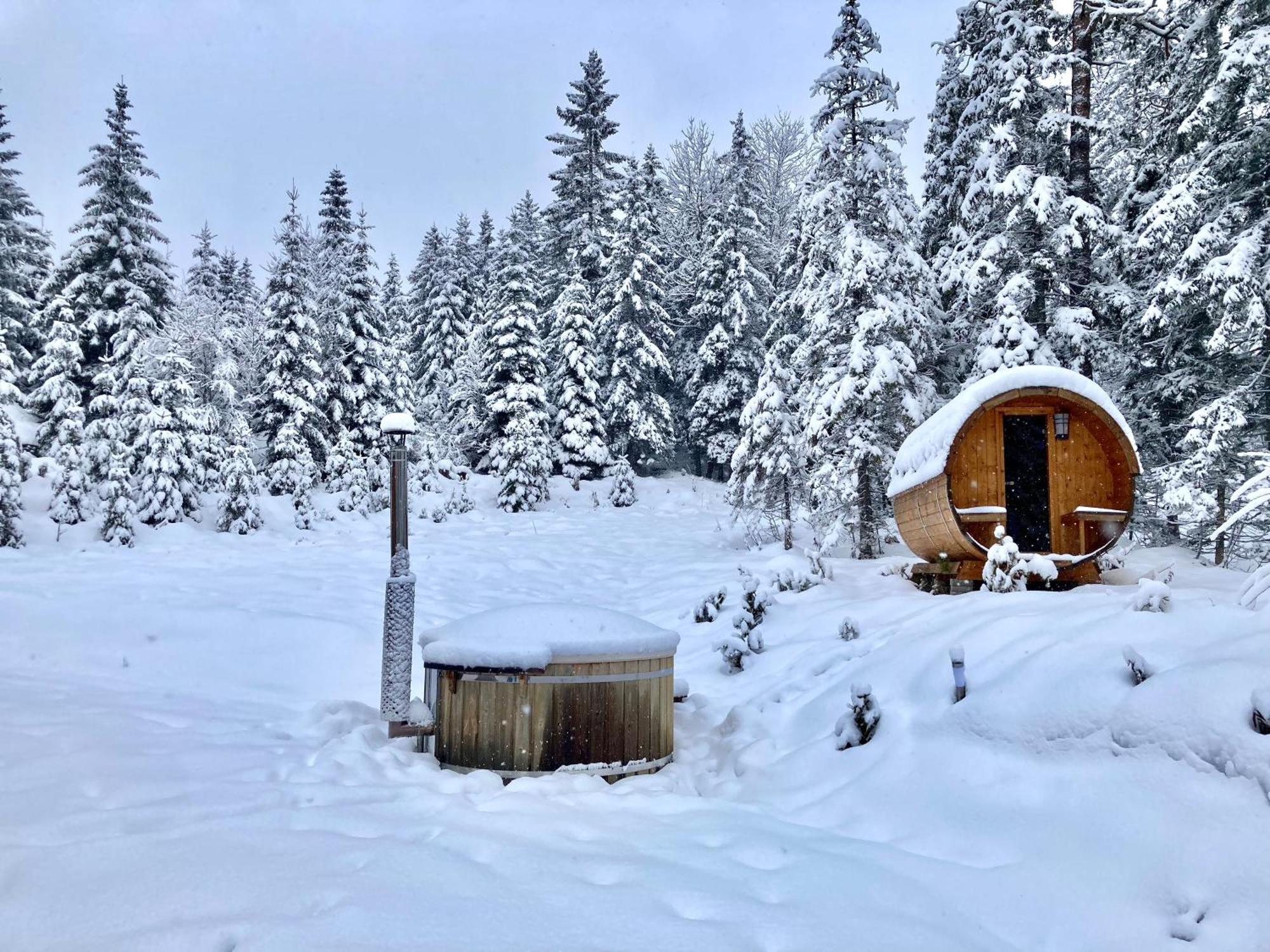 Chalet Wildalpen Eksteriør bilde