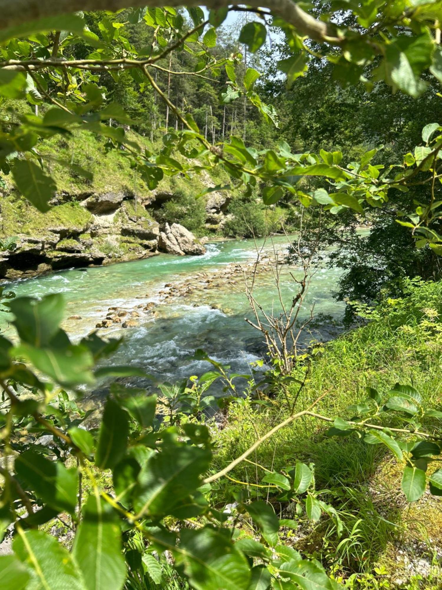 Chalet Wildalpen Eksteriør bilde